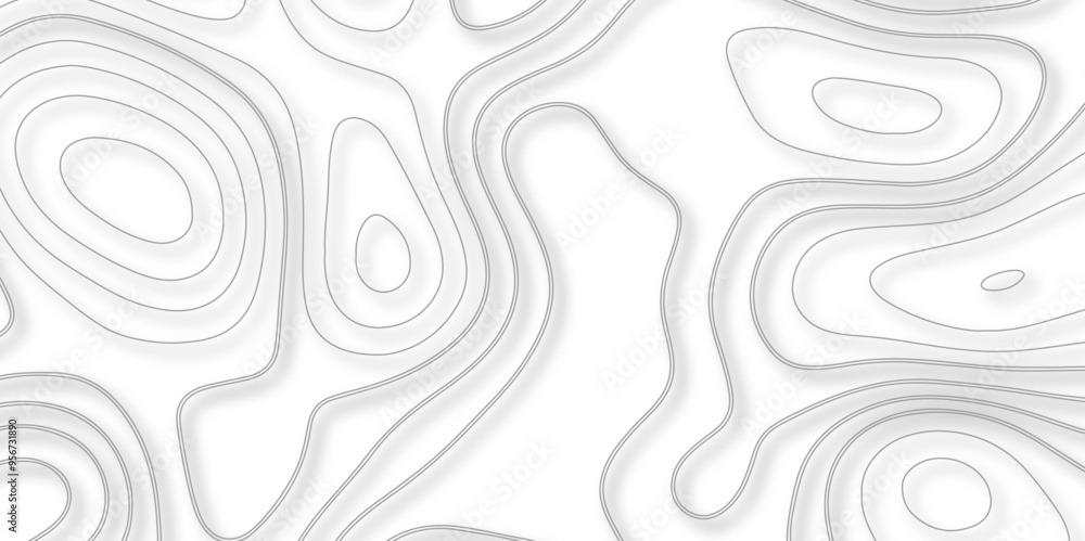 Delving into the Complexities of Topographic and Topological Elements in Vector Map Creation for Detailed Background Representation in Cartographic Studies Delving into the Complexities of Topographic and Topological Elements in Vector Map Creation for Detailed Background Representation in Cartographic Studies