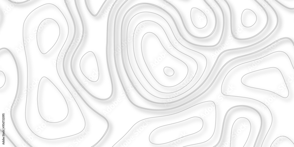 A Thorough Investigation of Topography and Topology in the Design of Vector Maps and Their Contribution to the Precision of Background Layers A Thorough Investigation of Topography and Topology in the Design of Vector Maps and Their Contribution to the Precision of Background Layers