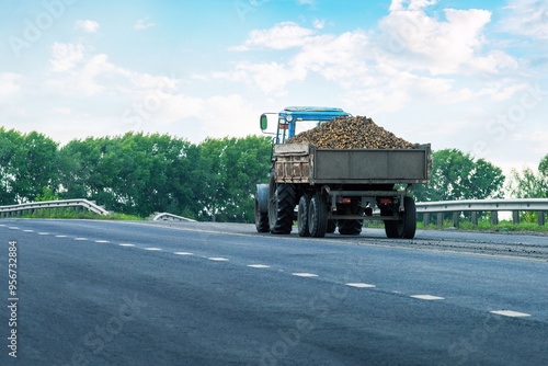 Tractor with container loaded with potatoes on the road. Transportation patatoes harvest. photo