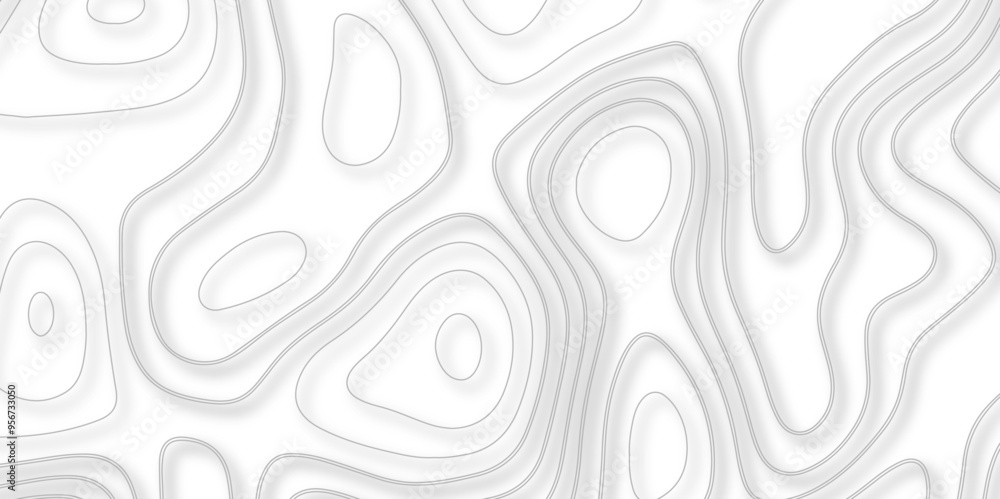 The Confluence of Topography and Topology in Vector Map Design 