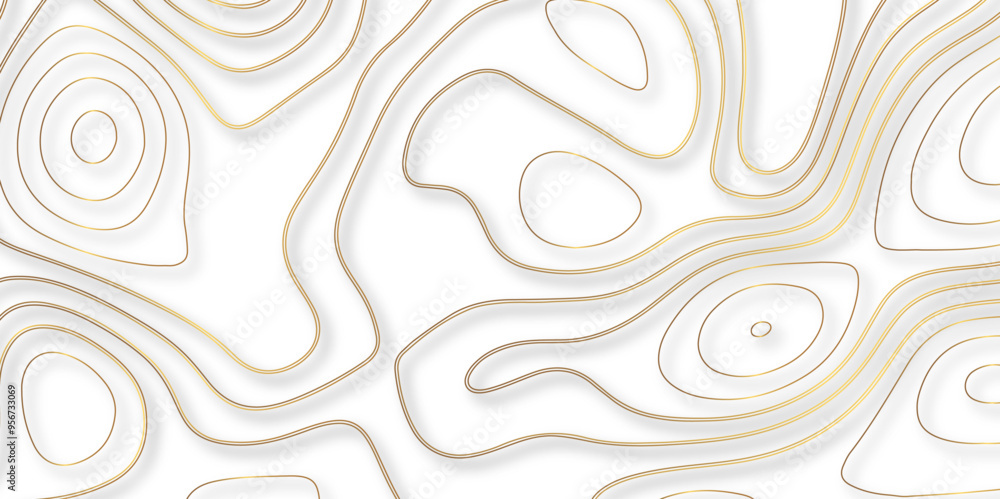 The Confluence of Topography and Topology in Vector Map Design 