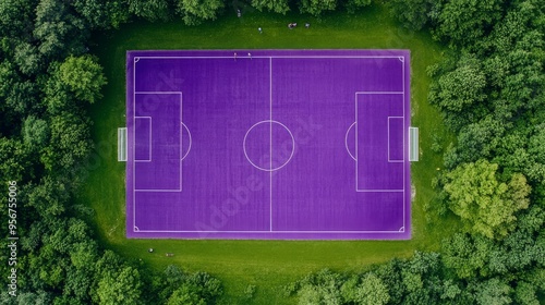Aerial View of Purple Soccer Field.