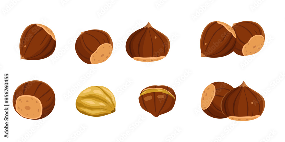 Chestnut vector isolated on white background Chestnut vector isolated on white background