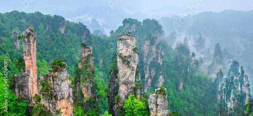 Canvas Print Famous tourist attraction of China - Zhangjiajie stone pillars cliff mountains i