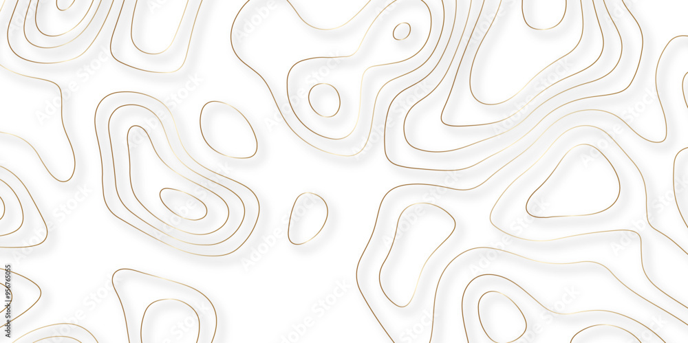 Topographic Integration Vetor de Advancements in Vector Mapping Through the Integration of ...