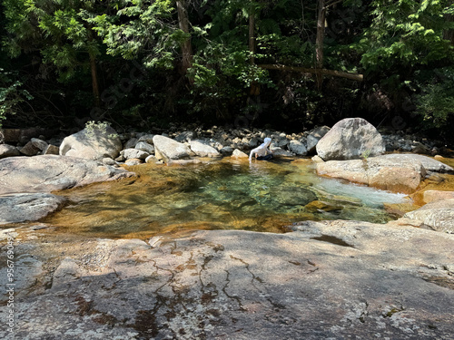 岐阜の綺麗な清流　板取川 photo