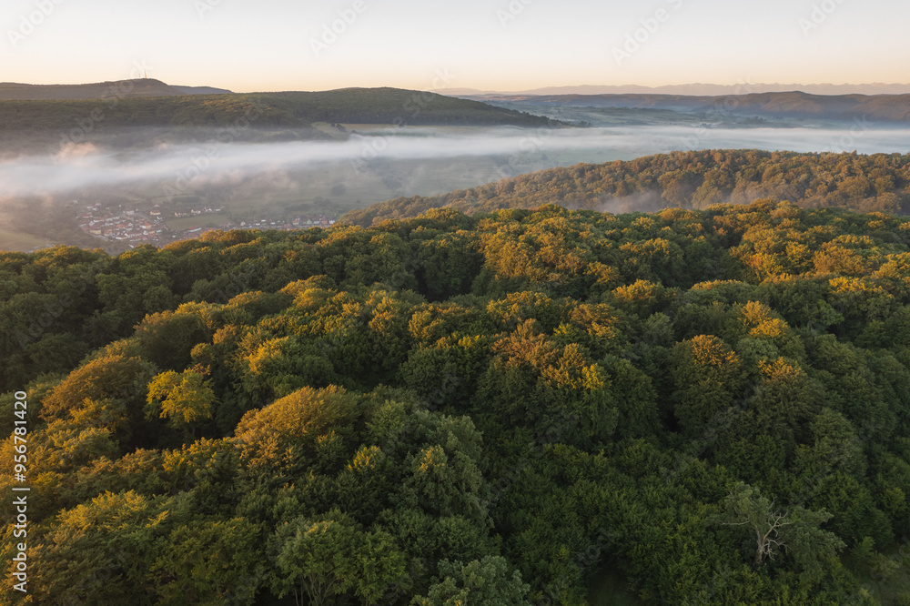 Aerial scene above the forest on Via Transilvanica. Foggy landscape above the green oak trees
Aerial scene above the forest on Via Transilvanica. Foggy landscape above the green oak trees