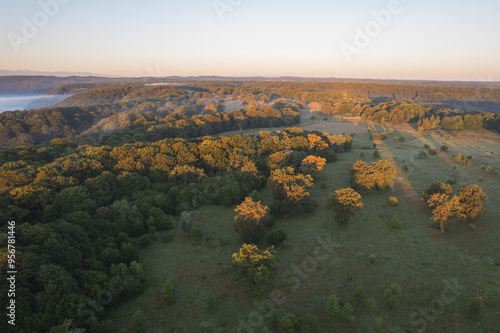 Aerial scene above the forest on Via Transilvanica. Foggy landscape above the green oak trees	
 photo