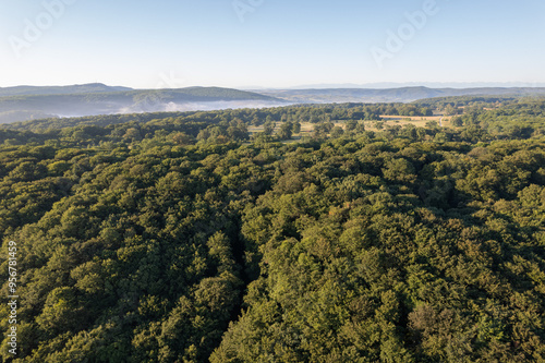 Aerial scene above the forest on Via Transilvanica. Foggy landscape above the green oak trees 