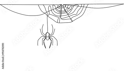 Continuous line spider on white bakcground. One line spider. Vector illustration.