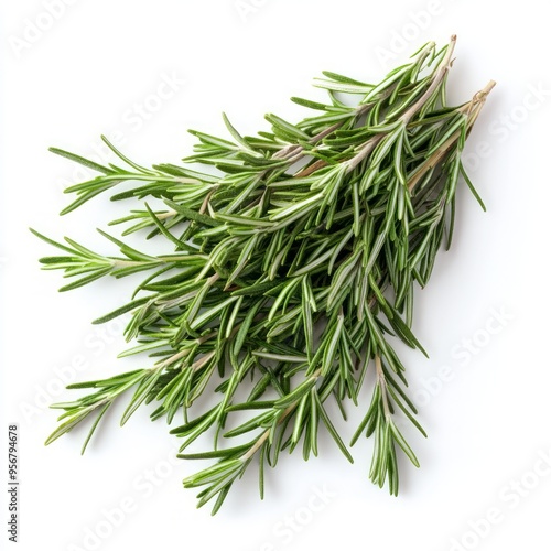 Fresh rosemary sprigs isolated on a white background.