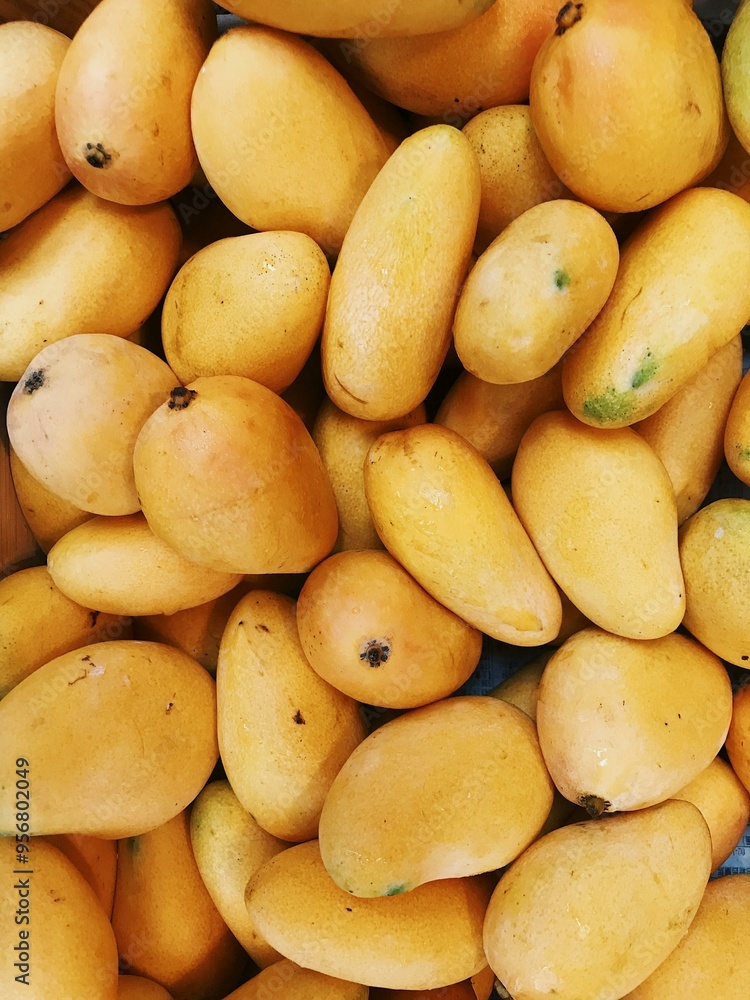 Mangoes are fantastic! They’re sweet, juicy, and versatile. You can enjoy them fresh, in smoothies, as a topping for yogurt, or even in savory dishes like mango salsa. Do you have a favorite way to e
Mangoes are fantastic! They’re sweet, juicy, and versatile. You can enjoy them fresh, in smoothies, as a topping for yogurt, or even in savory dishes like mango salsa. Do you have a favorite way to e