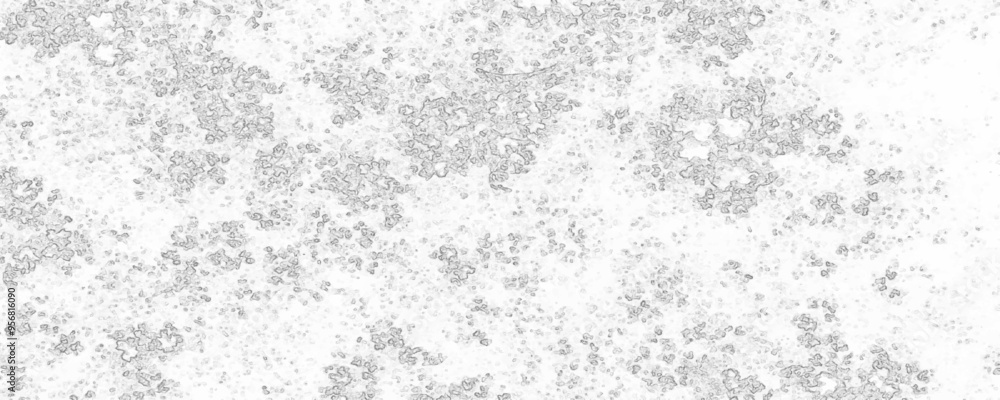 Vector black and white grunge abstract background with black on white old rough grunge. Old grunge paper texture design and Vector design. Scratch grunge abstract background. Vector black and white grunge abstract background with black on white old rough grunge. Old grunge paper texture design and Vector design. Scratch grunge abstract background.