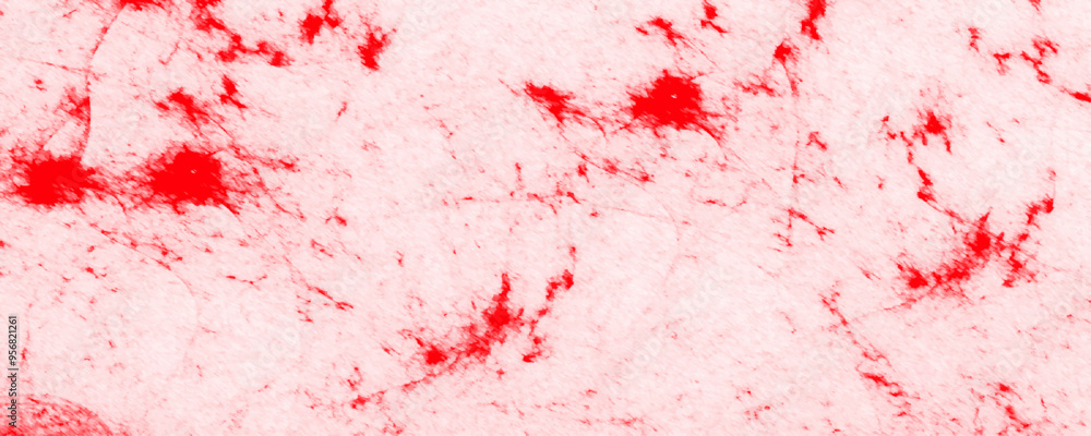 Grunge background frame soft red watercolor background. Abstract background with grunge red-white background. Soft smeared aquarelle painted soft red watercolor canvas for splash design. Grunge background frame soft red watercolor background. Abstract background with grunge red-white background. Soft smeared aquarelle painted soft red watercolor canvas for splash design.