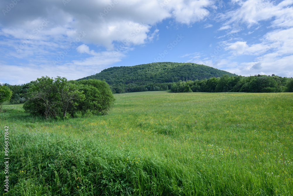 Fototapeta premium Pusta łąka w górach
