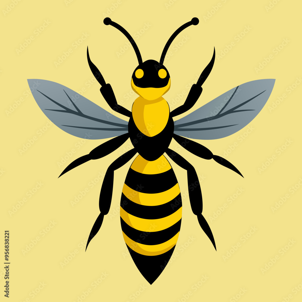 vector illustration of bee vector illustration of bee