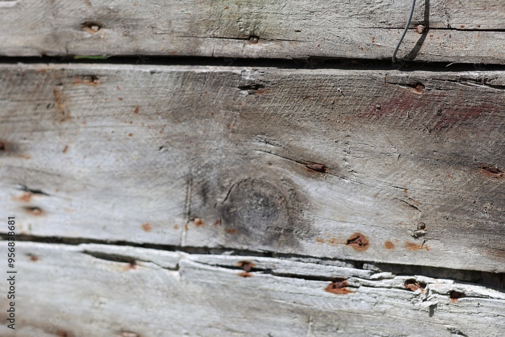 Naklejka premium real old wood texture