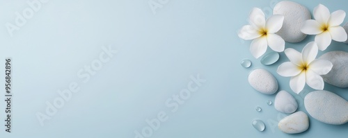 A serene arrangement of white flowers and smooth stones on a gentle blue background, perfect for relaxation and tranquility.
