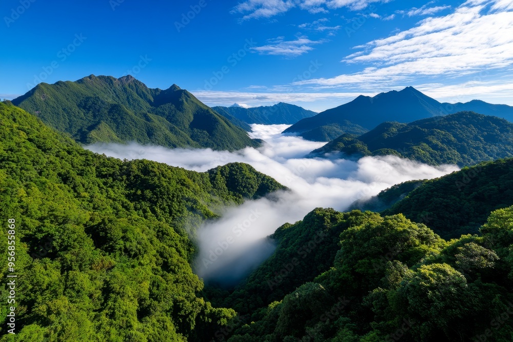 Valley scenery, sweeping vistas, low-lying fog presents a stunning contrast against the rising mountains Valley scenery, sweeping vistas, low-lying fog presents a stunning contrast against the rising mountains