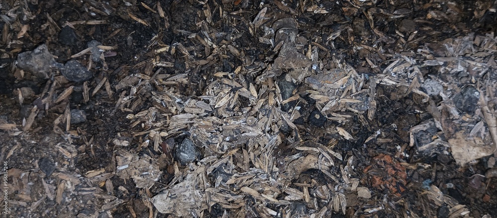 The remains of the burning that are already burnt and black The remains of the burning that are already burnt and black