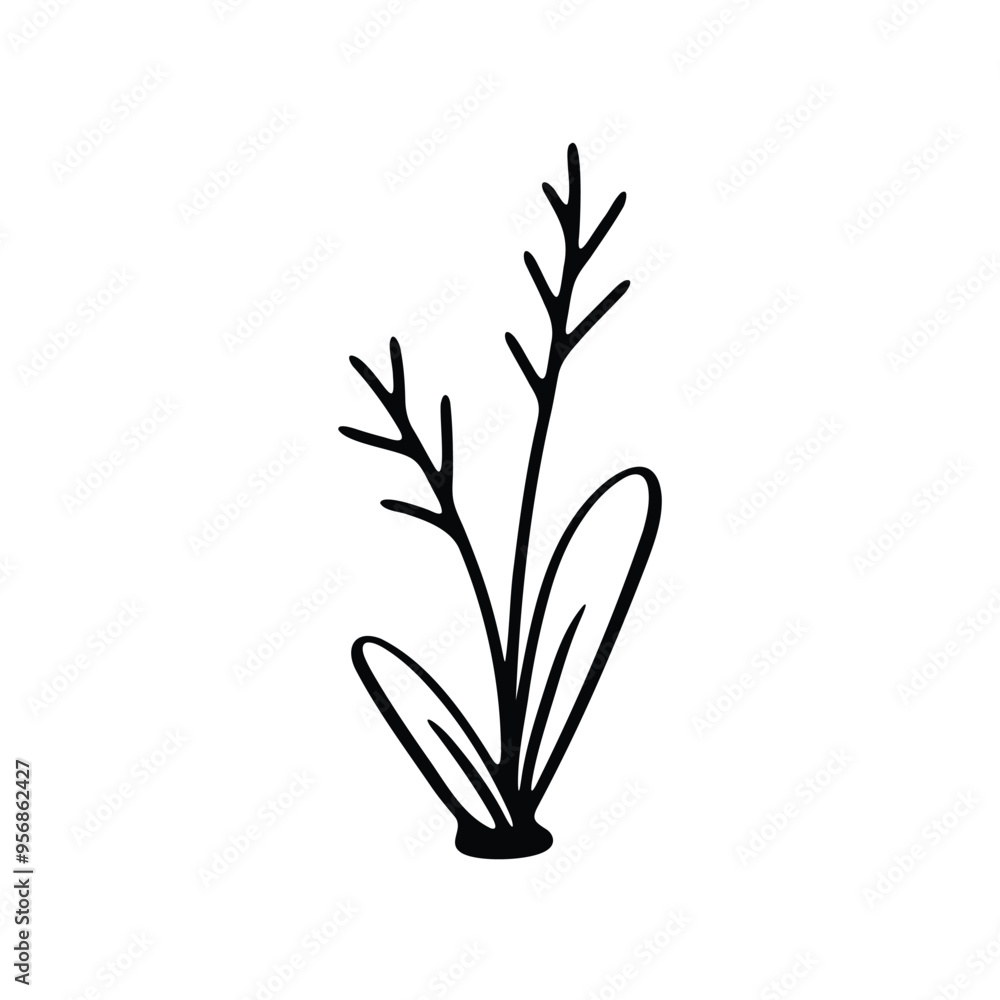 A minimalist black and white illustration of a simple plant with elongated leaves and a tall stem. A minimalist black and white illustration of a simple plant with elongated leaves and a tall stem.
