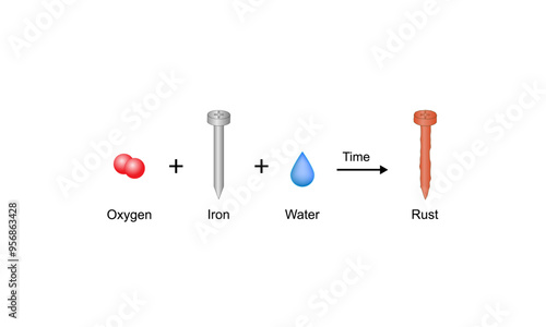 Rusting process mechanism. Chemical reaction between Oxygen, water and iron.  Iron corrosion. Vector Illustration.