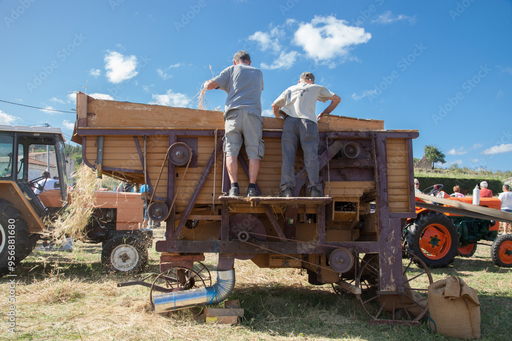 Obraz premium Battage du blé avec ancienne batteuse