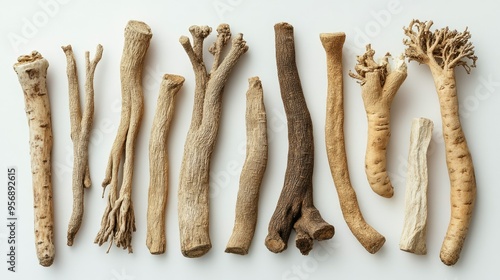 Flat lay of dried ginseng roots arranged artistically on a white background. The rugged natural forms stand out against the clean and bright backdrop.