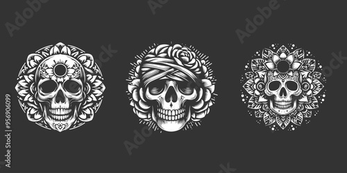 set skull design vector illustration