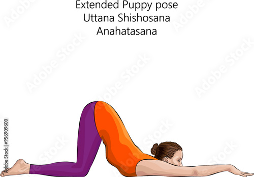 Young woman practicing Uttana Shishosana yoga pose. Anahatasana. Extended Puppy pose. Intermediate Difficulty. Isolated vector illustration.