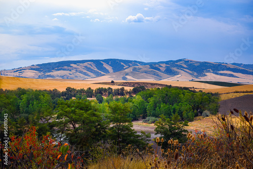 2024-09-02 ROLLING HILLS AND GRENN VEGETATION IN THE WALLA WALLA AREA OF WASHINGTON STATE WITH A NICE SKY-