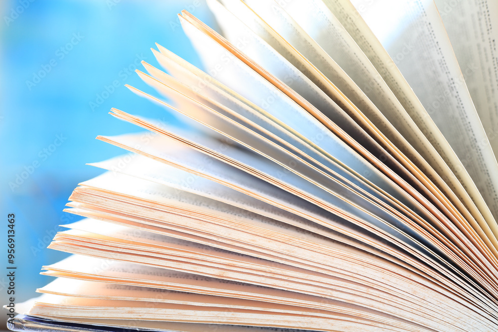 Open book, Reading, learning, education or home office concept.Super close up shot with smooth narrow depth of field, tack sharp in the forground. Open book, Reading, learning, education or home office concept.Super close up shot with smooth narrow depth of field, tack sharp in the forground.
