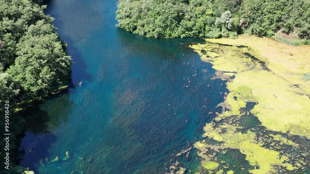 Underwater Kelp Forest dron bird view in Blue eye river, Albania. Green Seaweed leaves in Turquoise and green water scenic aerial view in Muzine, Finiq, Albania, Europe. Underwater Kelp Forest dron bird view in Blue eye river, Albania. Green Seaweed leaves in Turquoise and green water scenic aerial view in Muzine, Finiq, Albania, Europe.