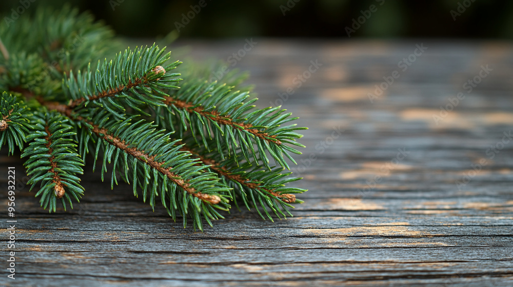 Beautiful green spruce branches lying on the table close-up Beautiful green spruce branches lying on the table close-up