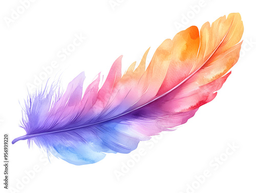 Watercolor colorful bird feather isolated transparent background