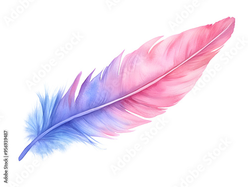 Watercolor pink and blue feather isolated transparent background