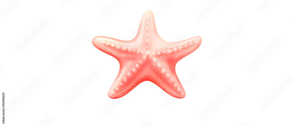 Pink starfish isolated transparent background Pink starfish isolated transparent background
