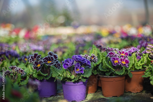 Garden Flowers: Planting and Cultivating in Your Outdoor Space