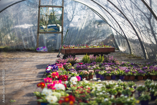 Garden Flowers: Planting and Cultivating in Your Outdoor Space