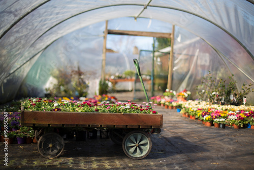 Garden Flowers: Planting and Cultivating in Your Outdoor Space