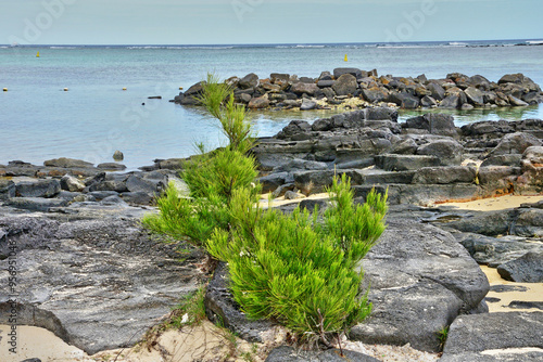 picturesque area of la Pointe aux canonniers in Mauritius