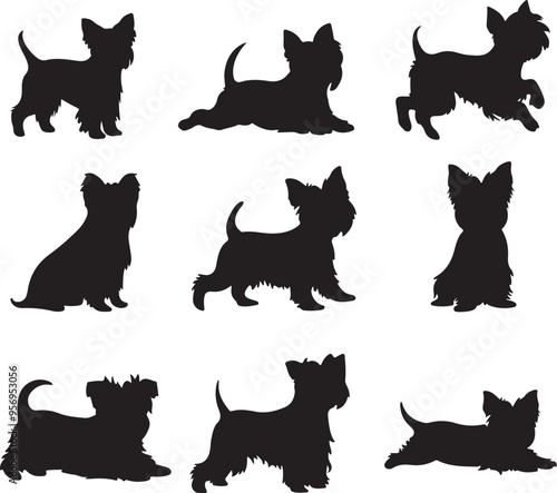 Yorkshire Terrier Dog Silhouette Collection