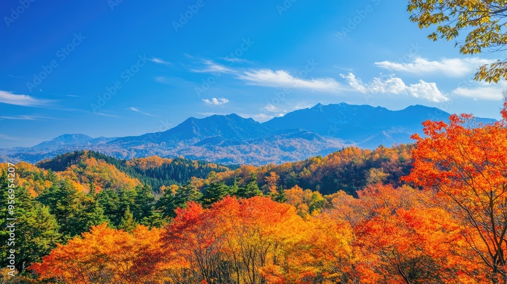 A vibrant autumn landscape with a mountain range in the background, with colorful trees and a clear blue sky. A vibrant autumn landscape with a mountain range in the background, with colorful trees and a clear blue sky.