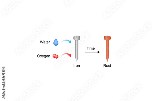 Rusting process mechanism. Chemical reaction between Oxygen, water and iron. Iron corrosion. Vector Illustration.