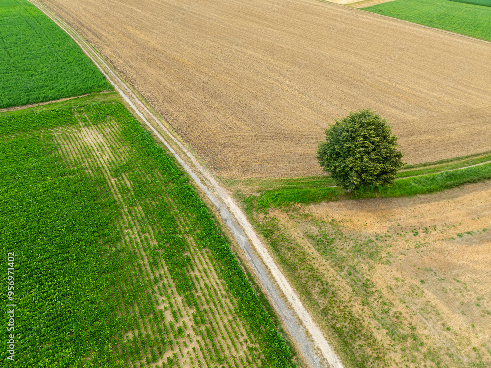 Aerial view of path through rural landscape in Switzerland. Road between fields. Aerial view of path through rural landscape in Switzerland. Road between fields.