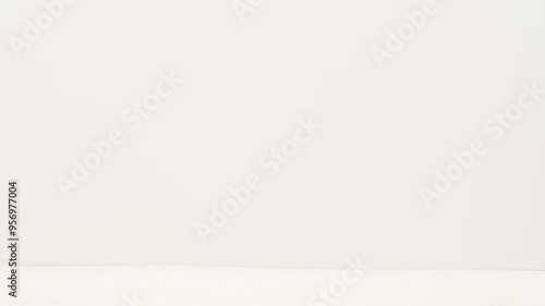 Wallpaper Mural Traveling business man tourist walking with suitcase carrying in hand in international airport isolated on white background. Travel concept. Torontodigital.ca