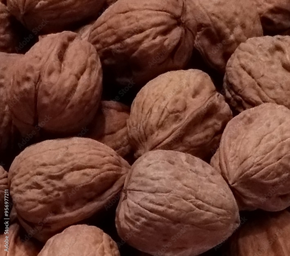 Close up of walnuts in shells Close up of walnuts in shells