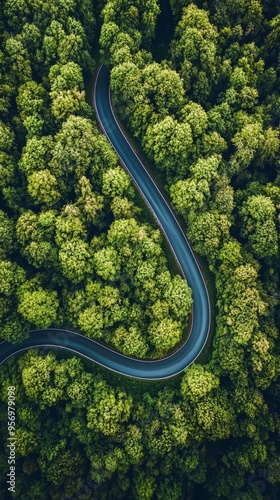 Winding road cuts through lush green forest canopy, aerial view showcases nature's beauty intertwined with human infrastructure, perfect harmony of curves.