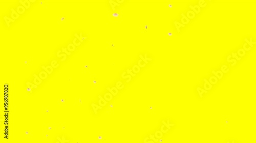 animated mov
the cherry blossoms are falling. cherry blossom rain effect