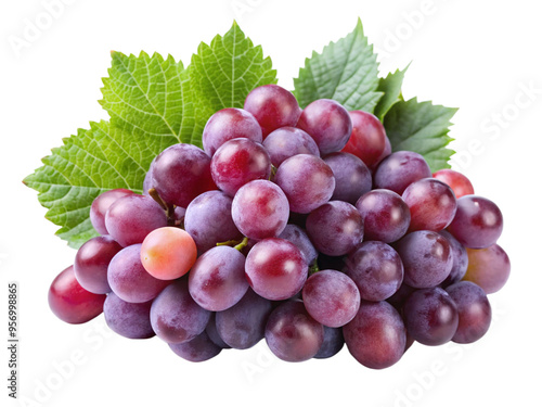 Fresh Grapes - High-Quality Fruit Image for Culinary and Health Use